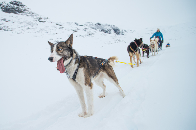 Chinook Adventure