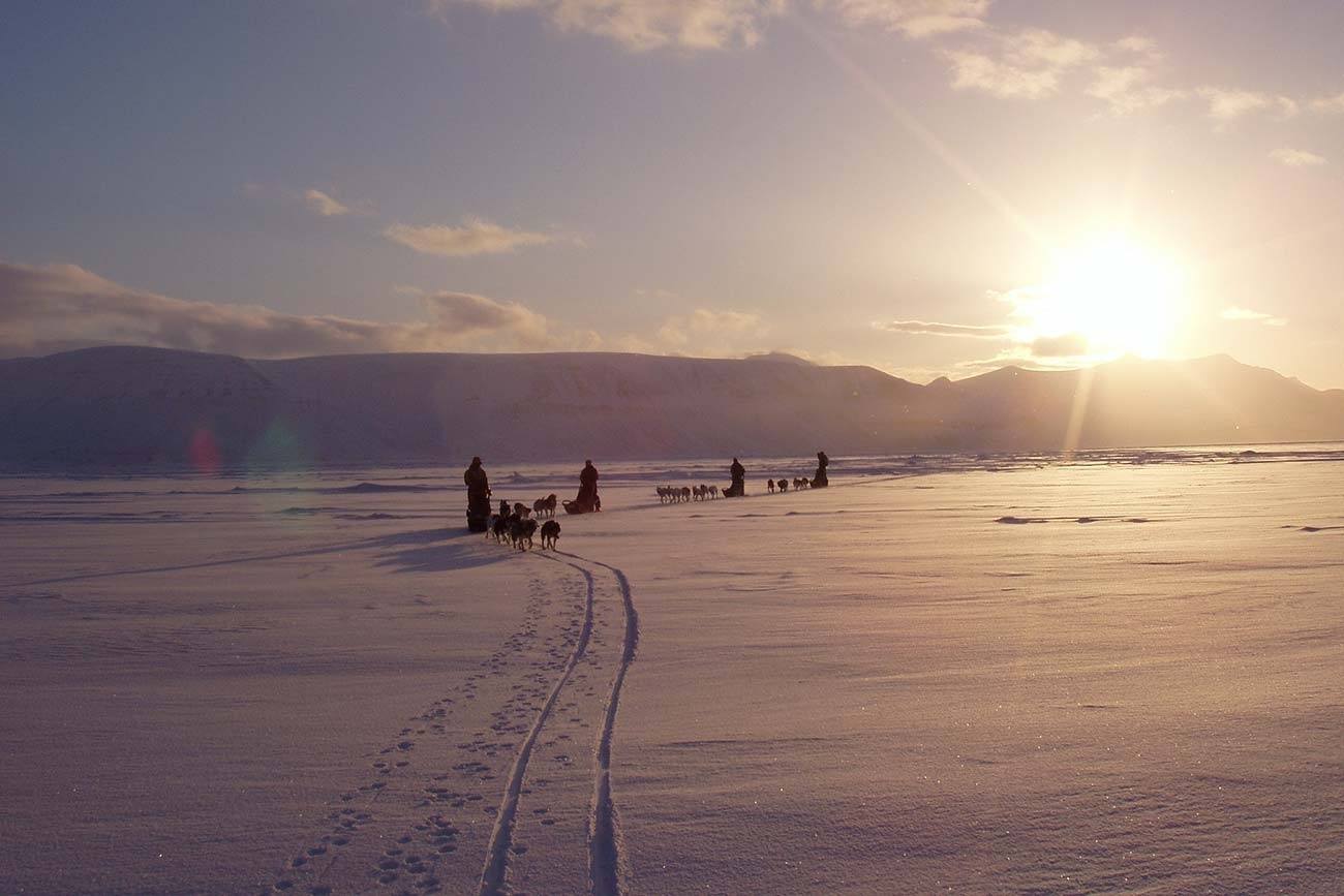 3 dagerstur med hundespann i hjertet av Fjell Norge | Beito Husky Tours