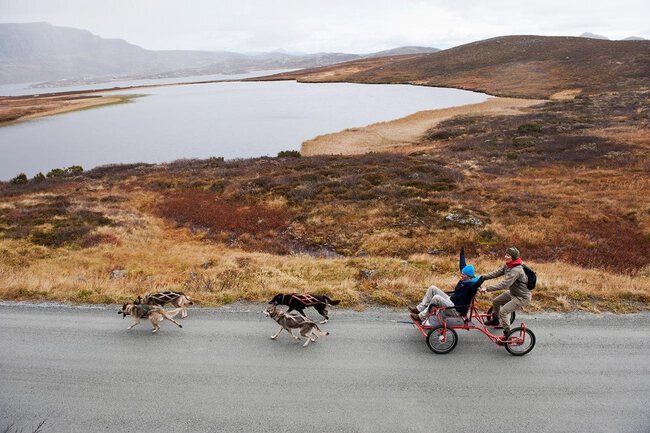 AUTUMN HUSKY ADVENTURE