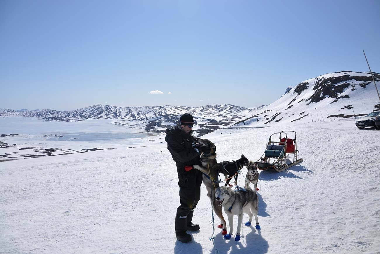 Dog sledding Norway Jotunheimen National Park | Beito Husky Tours