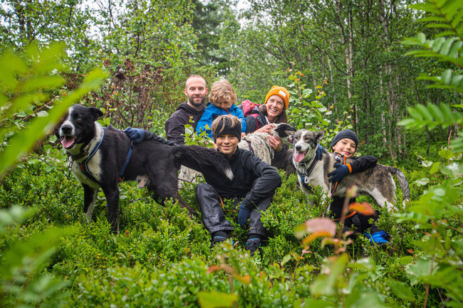 Husky Hike In The Mountains Of Norway