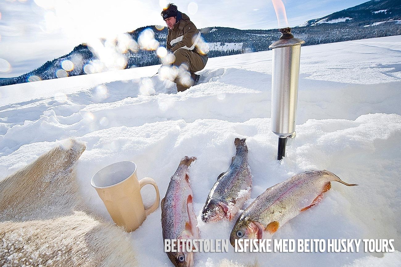 Snowshoeing and ice fishing in Beitostølen, Norway | Beito Husky Tours
