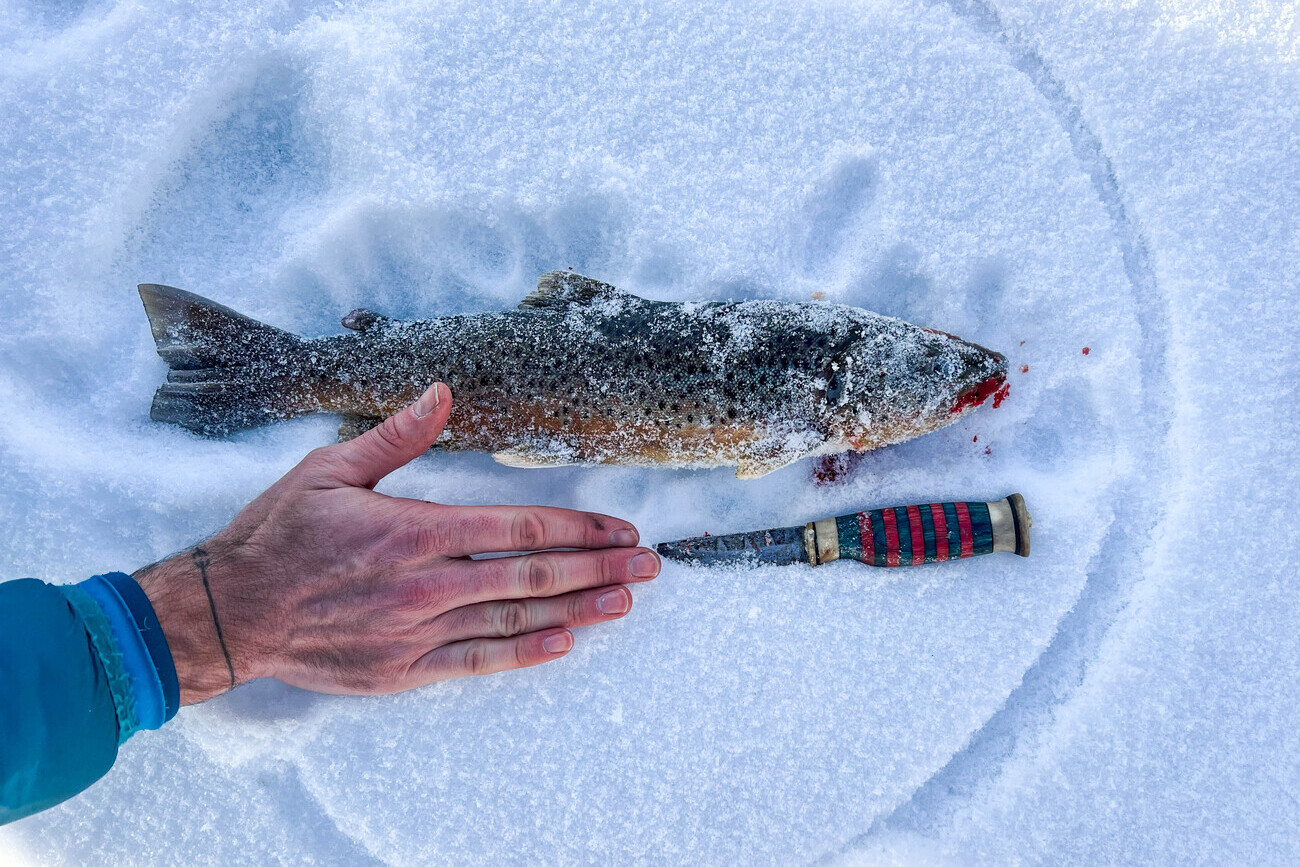 trout_ice-fishing