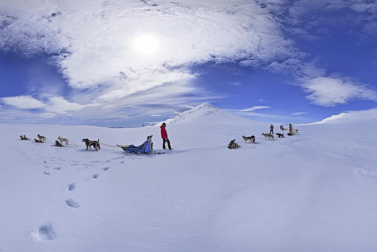 One of the best areas for dog sledding in Norway | Beito Husky tours