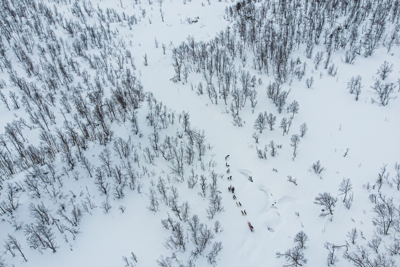 Expedition_musher-experience_drone-view