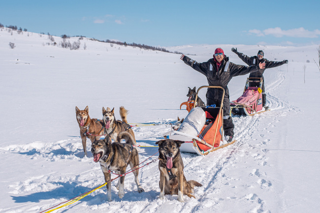 Beito Husky Musher Experience