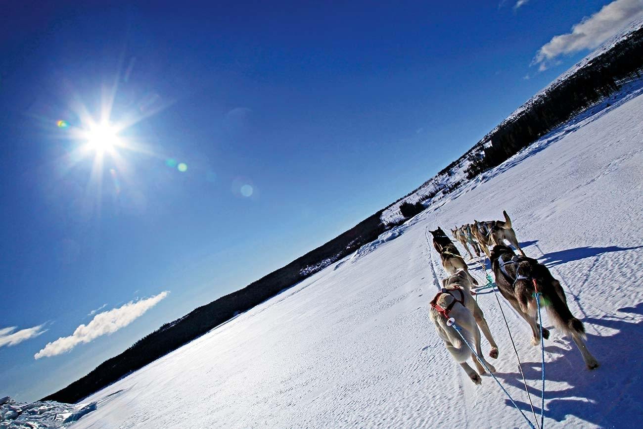 Eventyrlig tur med hundespann i Langsua, Norge | Beito Husky Tours