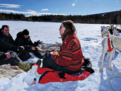 Who can join to a dog sledding tour?